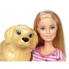 NARODENIE ŠTENIATOK BARBIE + PSA - FBN17_3
