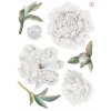 Samolepka na stenu PEONIES kvety !!! B. veľká súprava_11