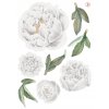 Samolepka na stenu PEONIES kvety !!! B. veľká súprava_13
