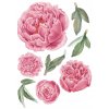 Samolepka na stenu PEONIES kvety !!! B. veľká súprava_7