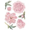 Samolepka na stenu PEONIES kvety !!! B. veľká súprava_8