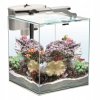 49L MORSKÉ AKVÁRIUM AQUAEL NANO REEF BIELA DUO_1
