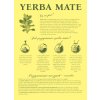 Obrie Yerba Mate Stanovené DVE 500g 10x50g_8