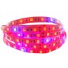 KIT 300 LED pásy svetla IP65 RAST rast rastlín 5m_1