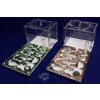 Formikarium, Chov mravcov, SKVELÉ STARTER SET!_3