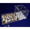 Formikarium, Chov mravcov, SKVELÉ STARTER SET!_5