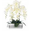 Umelé silikónové orchidea_0