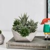 7SZT SUKULENT UMELÉ RASTLINY OZDOBNÉ KVETOM,_3