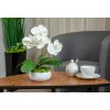 Umelé ORCHIDEA mini biele keramické kvetináče_4