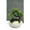 BONSAI Umelý strom výška. 22 cm_1