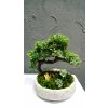 BONSAI Umelý strom výška. 22 cm_2