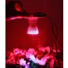 LED RÁSŤ Žiarovka e27 10W pre pestovanie rastlín Waw_1