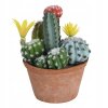 Umelý kvet kvet kaktus v kvetináči parapet_0