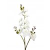 ORCHIDEA, UMELÉ KVETY, UMELÉ biele 120 cm XXL_1