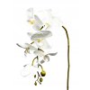 ORCHIDEA, UMELÉ KVETY, UMELÉ biele 120 cm XXL_2