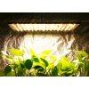 Osvetlenie pre rastliny - Panel lampy Flexer Growbox 1000W Full Spec. S_3