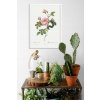 Plagát historických Ruží ROSE domova scandi 40x50_2