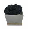 Krásna skutočná večná čierna ruža. Večné ruže_0
