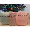 Pusheen - Pushen - originálny vankúš / maskot_3