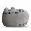Pusheen - Pushen Sleepy Mega Big vankúš Jumbo Sleep_0