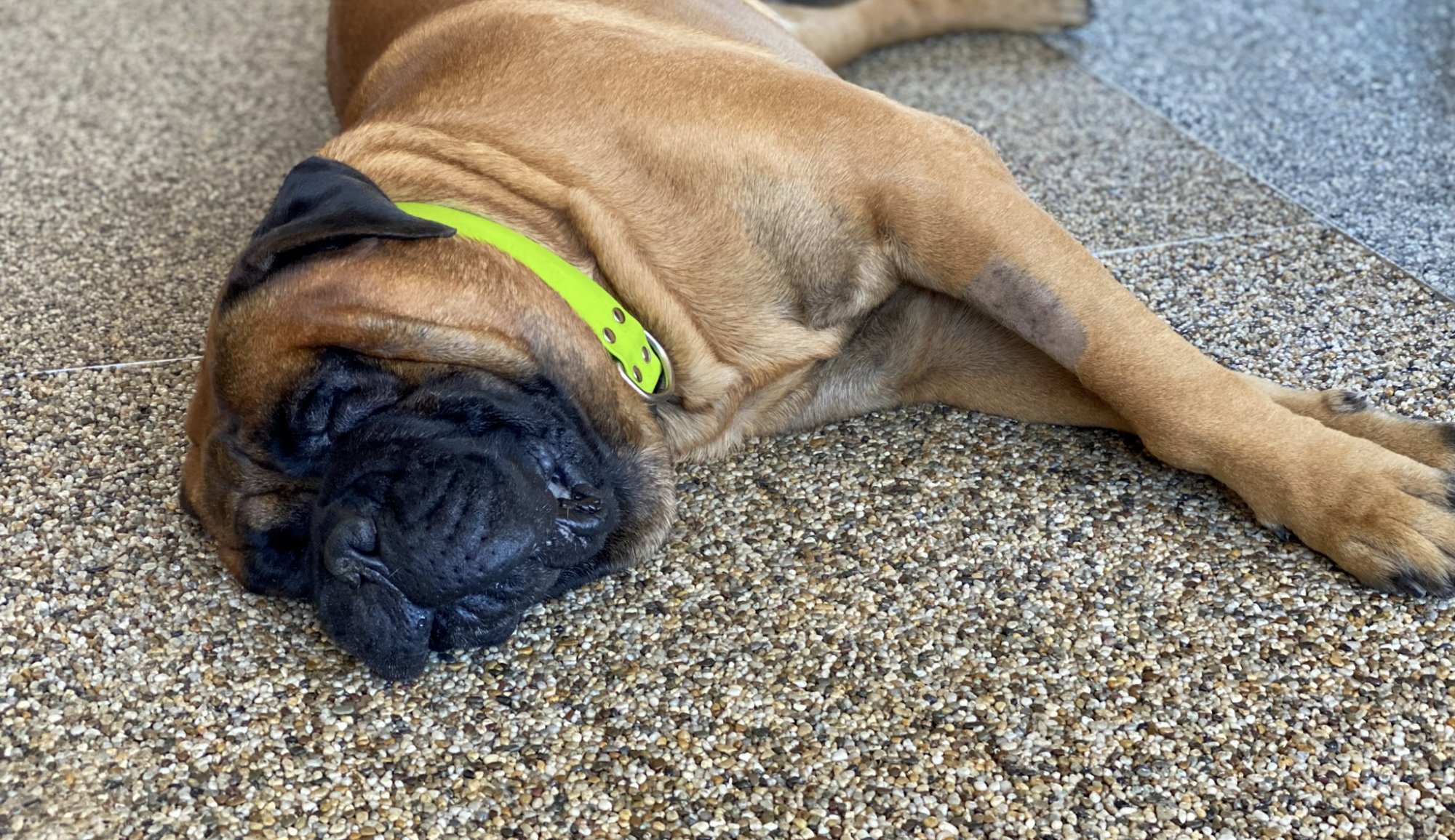 Údržba kamenného koberce