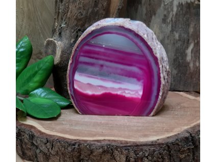 788g 11,5x4,5x9,5cm 389 Kč