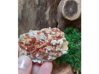 81g 6x4,5x4cm 149Kč