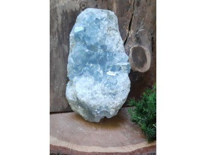 610g 12x7x5cm429Kč