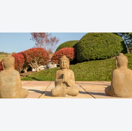 kamenný buddha