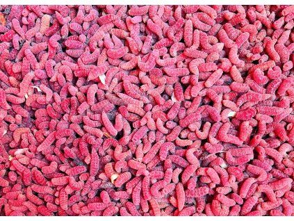 8A4335E1 1C82 42FB ABB3 CF755D67B28E