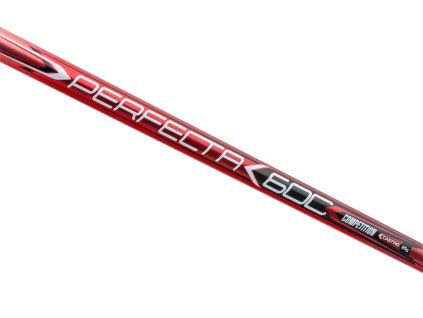 MIV PERF600 det1