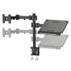 Neomounts FPMA-D960NOTEBOOK / Flat Screen & Notebook Desk Mount (clamp)  / Black