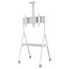 Neomounts NS-M1500WHITE / Mobile Flat Screen Floor Stand (height: 110 - 144 cm) / White