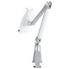 Neomounts  TABLET-D100SILVER / Tablet & Smartphone Arm (universal for all tablets & most smartphones)  / Silver