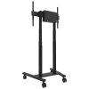 Neomounts FL55-875BL1/Držák displeje/vozík/37-100"/4 kolečka/VESA 800X600/nosn. 110kg/mot. nast.výšky/černý