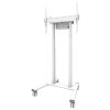 Neomounts FL55-875WH1/Držák displeje/vozík/37-100"/4 kolečka/VESA 800X600/nosn. 110kg/mot. nast.výšky/bílý