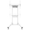 Neomounts FL55-875WH1/Držák displeje/vozík/37-100"/4 kolečka/VESA 800X600/nosn. 110kg/mot. nast.výšky/bílý