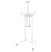 Neomounts AFL-875WH1/Držák kamery a multimedia police pro FL55-875WH1 a WL55-875WH1/nosn. 9kg/Logitech ad./bílý