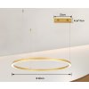 IMMAX NEO FINO NEW SMART závěsné svítidlo 1 kruh, 80cm, 60W, zlaté, Zigbee 3.0, TUYA