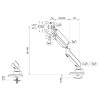 Neomounts DS70PLUS-450WH1/Držák zakřiveného displeje/na stůl/17-49"/svorka+průch./VESA 100X100/nosn.18kg/plyn.píst/1 dis