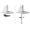Neomounts DS70S-950WH1/Držák displeje/na stůl/17-49"/svorka+průch./VESA 100X100/nosn.18kg/plyn.píst/1 dis