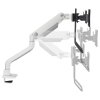Neomounts DS75S-950WH2/Držák displeje/na stůl/17-27"/svorka+průch./VESA 100X100/nosn.2x8kg/plyn.píst/2 dis