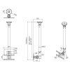 Neomounts  FPMA-C100SILVER / Flat Screen Ceiling Mount (Height: 79-129 cm) / Silver