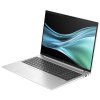 HP EliteBook 865 G11/ Ryzen 7 8840HS/ 32GB DDR5/ 1TB SSD/ Radeon™ 780M/ 16"WUXGA,matný/ W11P/ stříbrná