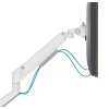 Neomounts  DS70-250WH1 Neomounts NEXT Slim Desk Mount, single display (topfix clamp/grommet), white