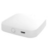 MHUB-W-Q-MS - Vícerežimová inteligentní řídící jednotka druhé generace ZigBee WiFi Bluetooth Mesh