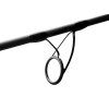 Delphin CASTIX
