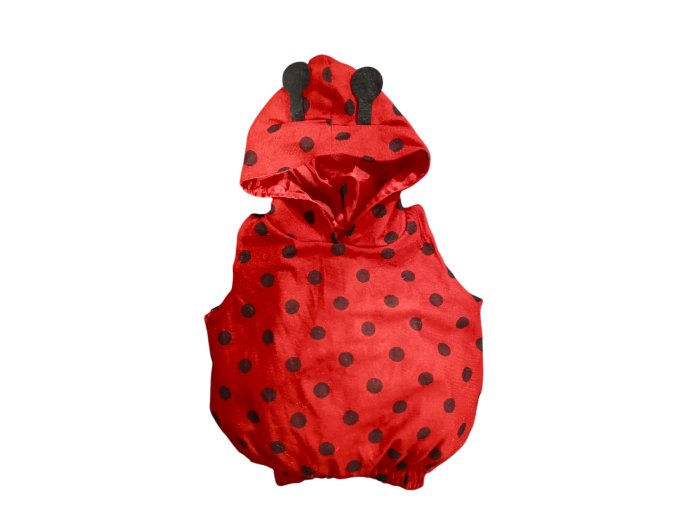 Photoroom 20251212 105455