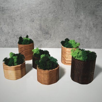 Oak & Ash Wood Planter with Preserved Moss