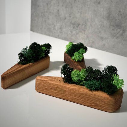 Triangular Wooden Moss Planter
